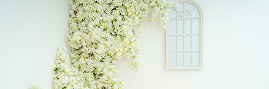 埼玉の店舗情報へ