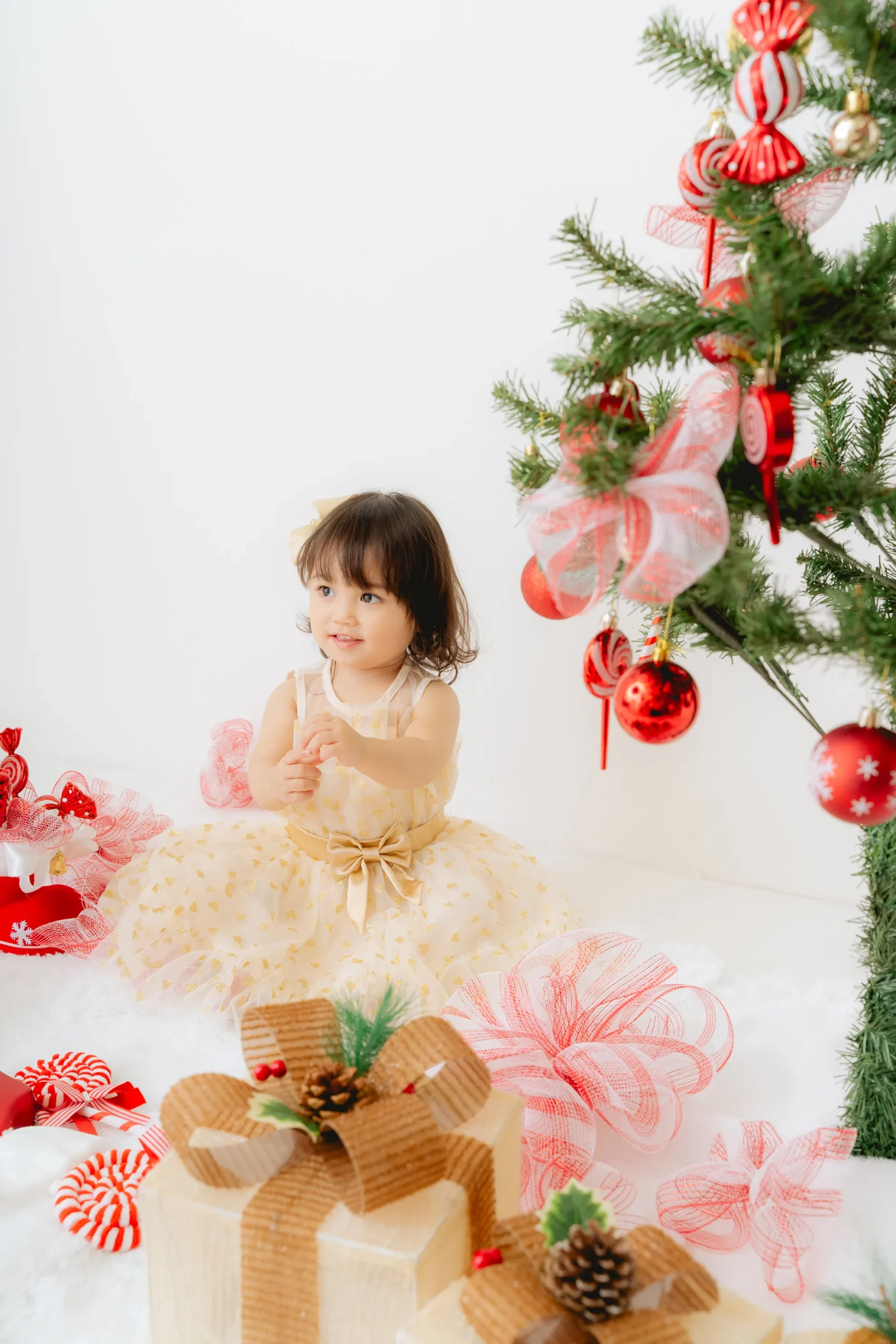 クリスマス撮影会2024 Candy Christmas｡.:*・ﾟ☆ | お知らせ | 子供 